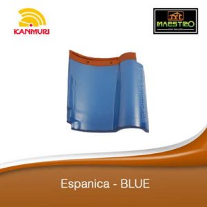 Espanica-BLUE-min-300x300