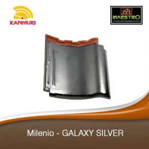 Milenio-GALAXY-SILVER-min-300x300