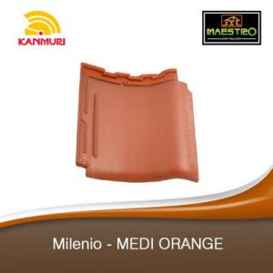Milenio-MEDI-ORANGE-min-300x300