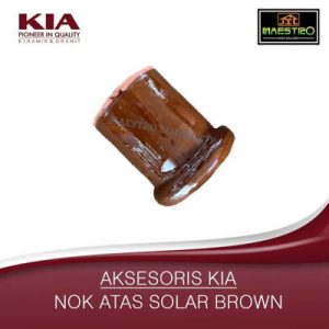 NOK-ATAS-SOLAR-BROWN-min-300x300