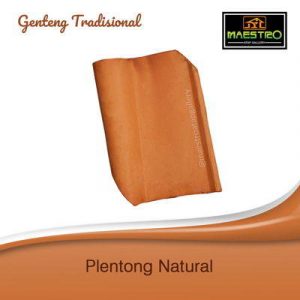 Plentong-Natural-300x300