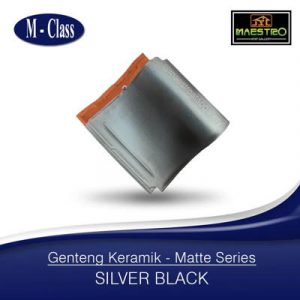 SILVER-BLACK-min-300x300