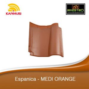 Espanica-MEDI-ORANGE-min-300x300