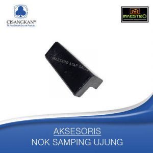 NOK-SAMPING-UJUNG-min-300x300